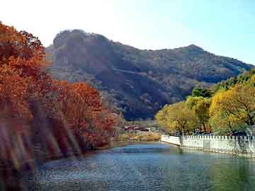 新澳天天开奖资料大全旅游团，扬扬小说